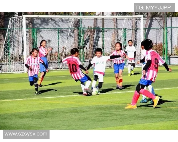 丽江足球队历代球星完整名单与精彩表现全纪录